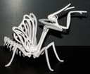 Rompecabezas 3D de Mantis Religiosa Vector para Corte Láser
