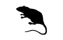 Diseño Vectorial de Silueta de Rata para Corte Láser DXF