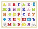 Puzzle del Alfabeto Ruso Juguete Educativo Vector