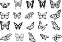 Set of 20 Butterfly Vector Silhouettes for Laser Cutting