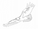 Soaring Bald Eagle Vector Design for Laser Cutting DXF