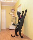 Stretching Cat Bookshelf Laser Cut Vector Plan DXF