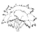 Vector de Árbol Decorativo Estilizado - Archivo DXF
