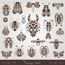 Colección de Siluetas de Insectos Vintage Archivo Vectorial Gratis