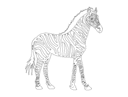 Archivo Vectorial de Cebra para Corte Láser CNC (DXF)