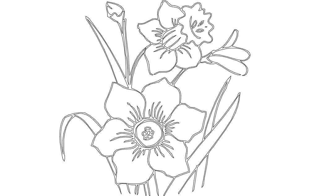 Beautiful Daffodil Flower Vector Design for Laser Cutting DXF