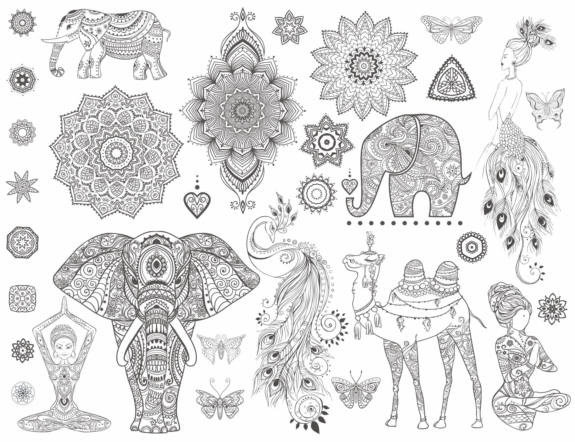 Boho Mandala and Animal Ornament Collection Vector File