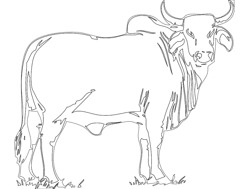 Brahman Bull Silhouette Vector Design DXF File