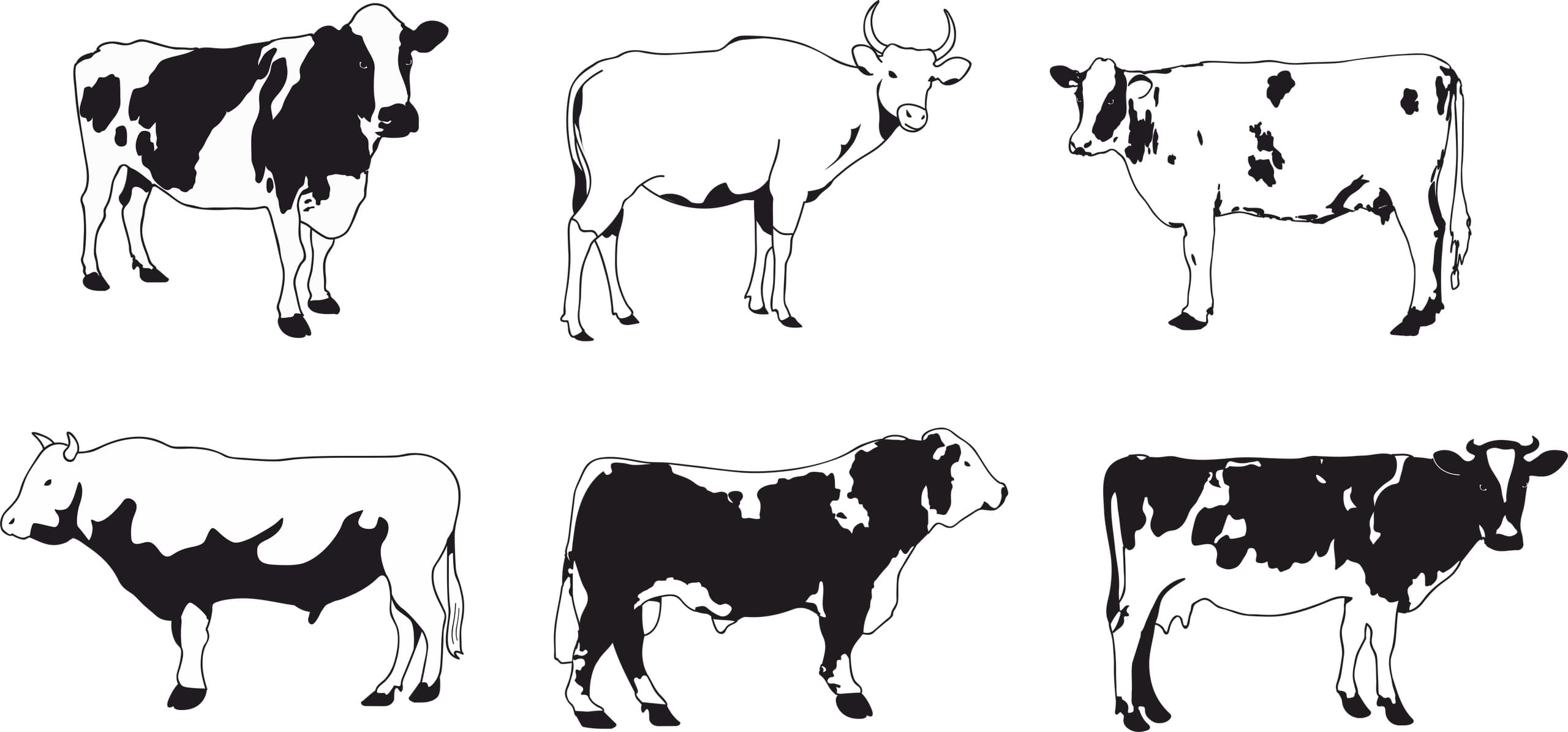 Cattle and Cow Silhouettes Vector Set for Laser Cutting