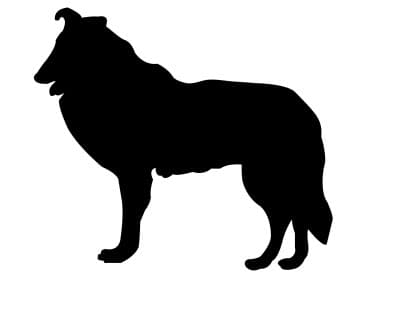 Collie Dog Silhouette Vector Design for Laser Cutting DXF