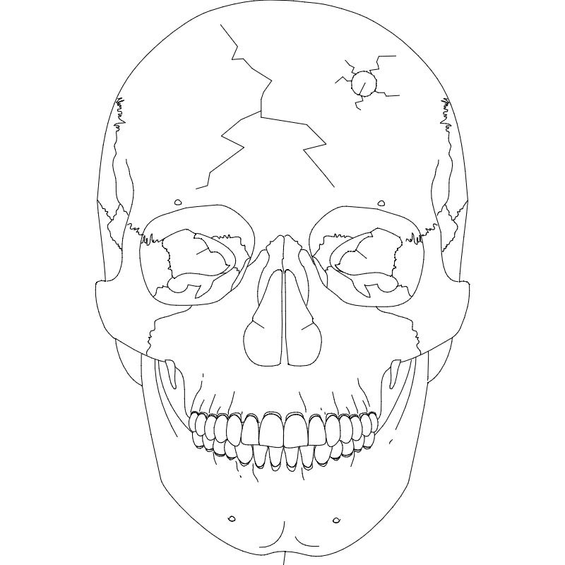 Cracked Human Skull Vector Design for Laser Cutting DXF