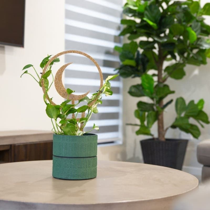 Crescent Moon Plant Trellis Laser Cut Vector File