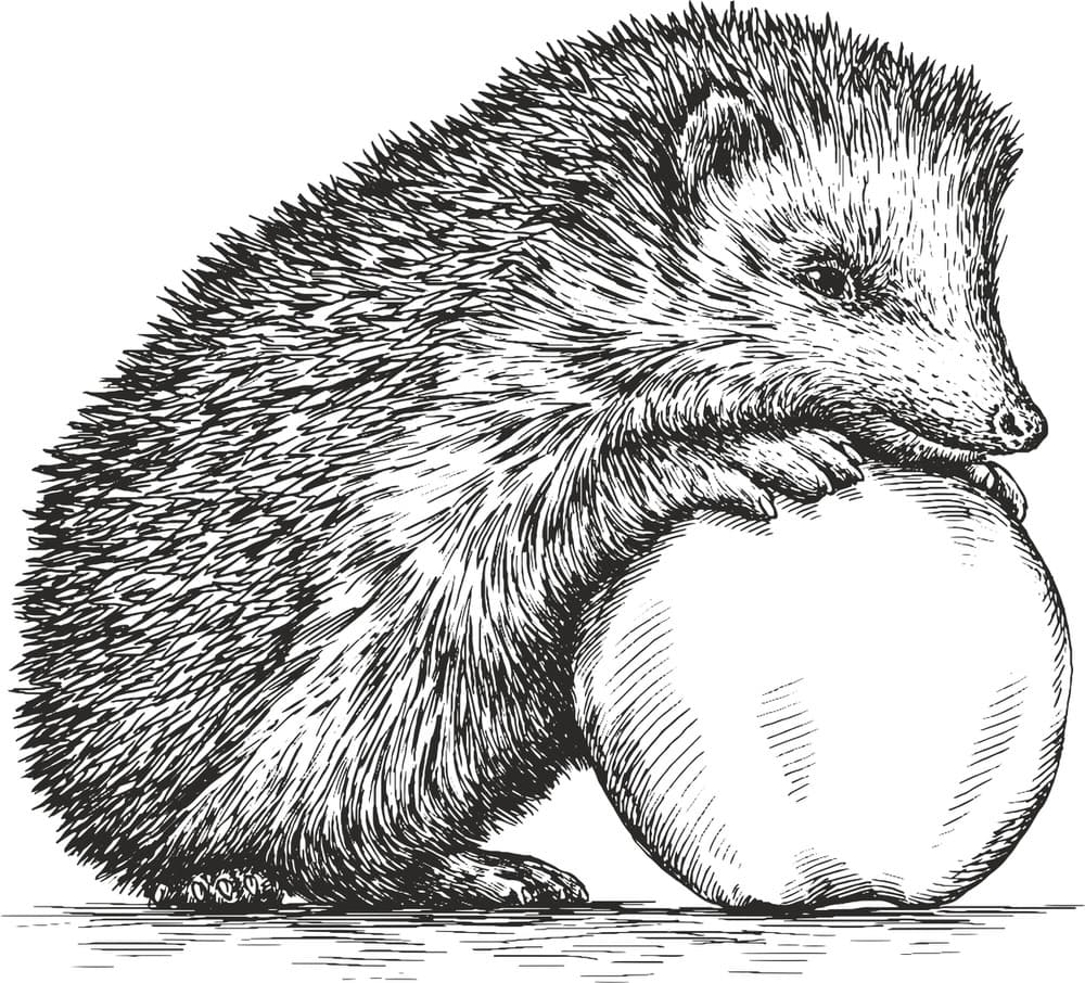 Cute Hedgehog with Apple Vector Illustration for Laser Cutting