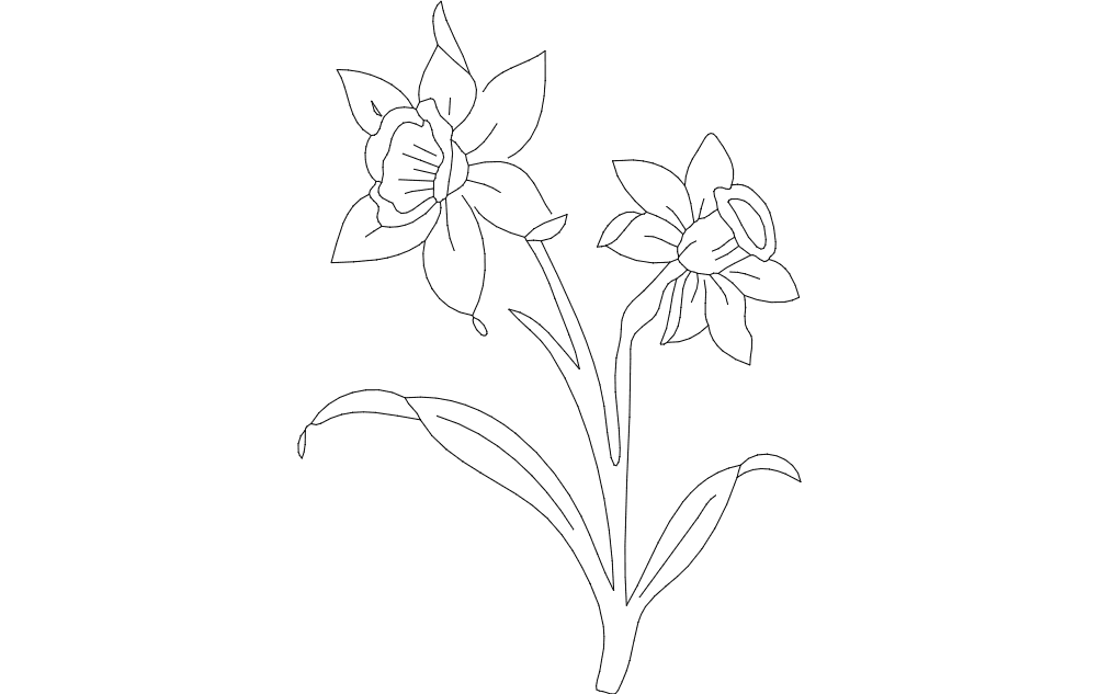 Daffodil Flower Line Art DXF Vector for Laser Cutting