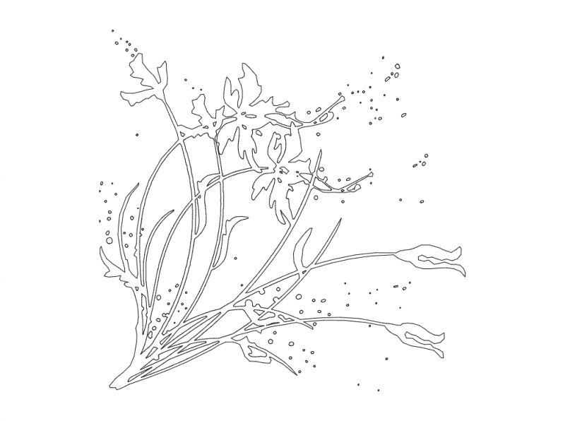 Delicate Wildflower Bouquet Vector DXF File for Laser Cutting