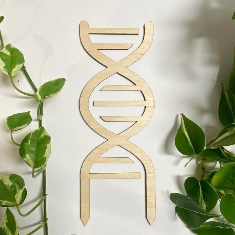 DNA Double Helix Plant Trellis Laser Cut File (SVG, DXF)