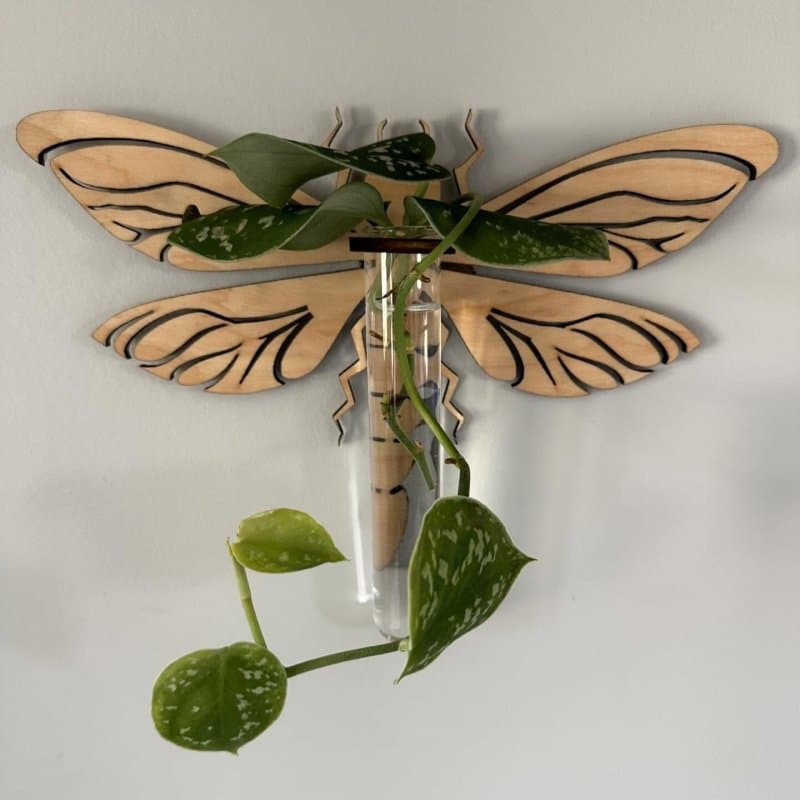 Dragonfly Wall Propagation Station Laser Cut Vector File