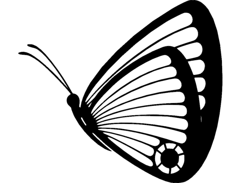 Elegant Butterfly Vector Design for Laser Cutting DXF File