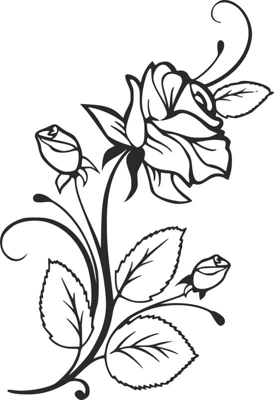 Elegant Rose Bouquet Stencil Vector for Laser Cutting DXF
