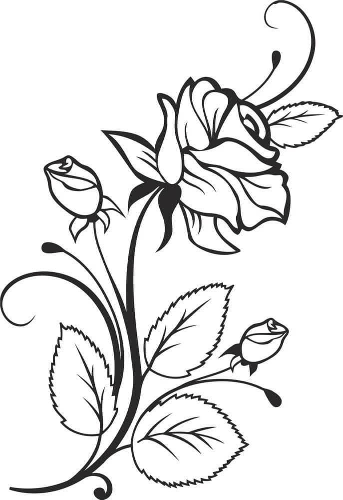 Elegant Rose Floral Bouquet Vector Design for Laser Cutting