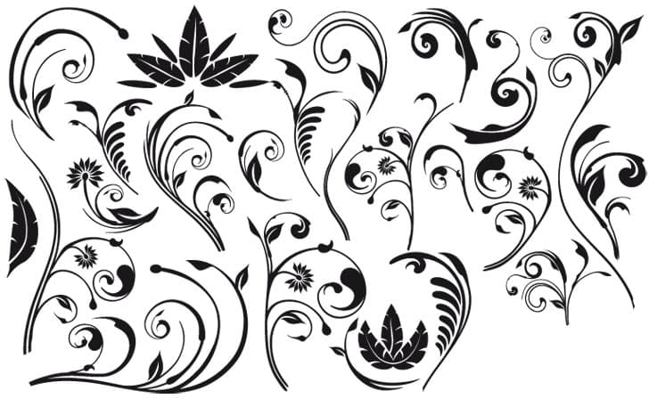 Floral Swirls and Flourish Elements Vector Design