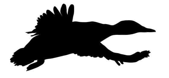 Flying Duck Silhouette Vector File for Laser Cutting (DXF)