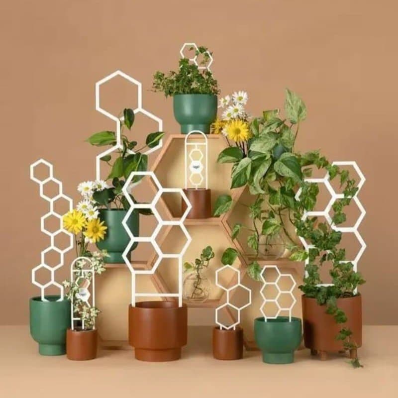 Honeycomb Plant Trellis Vector Set for Laser Cutting (DXF, SVG)