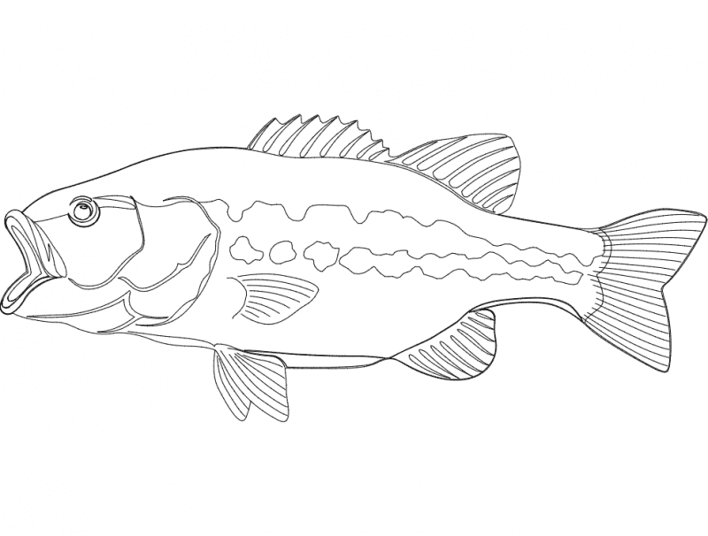Largemouth Bass Fish Vector Design for Laser Cutting DXF