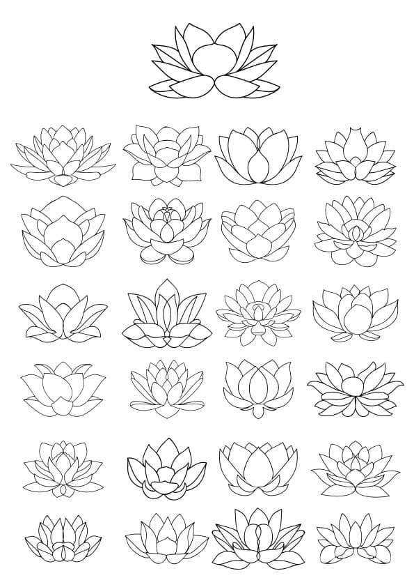 Lotus Flower Vector Set for Laser Cutting, DXF and SVG Files