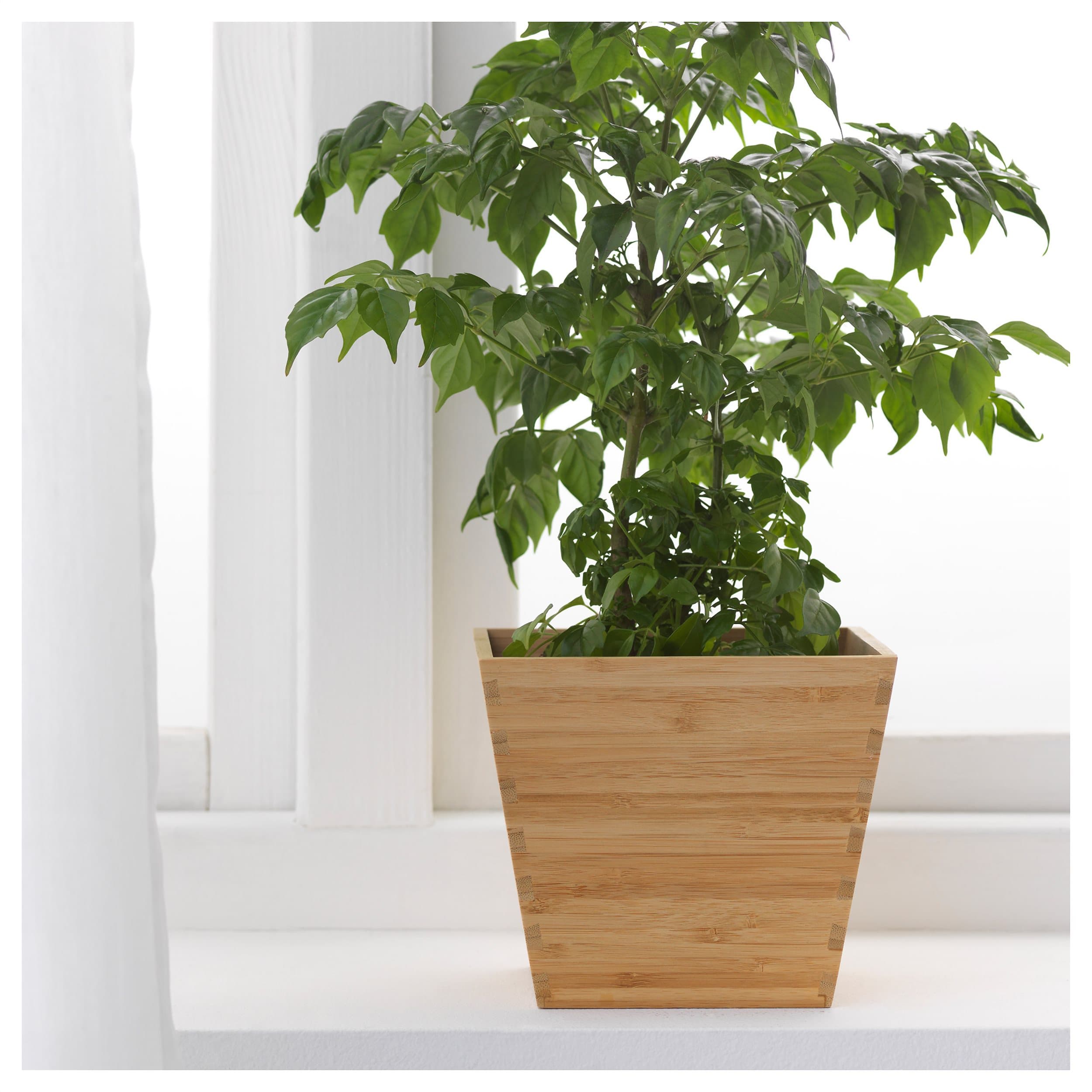 Minimalist Square Wooden Plant Pot - Free Laser Cut Vector File