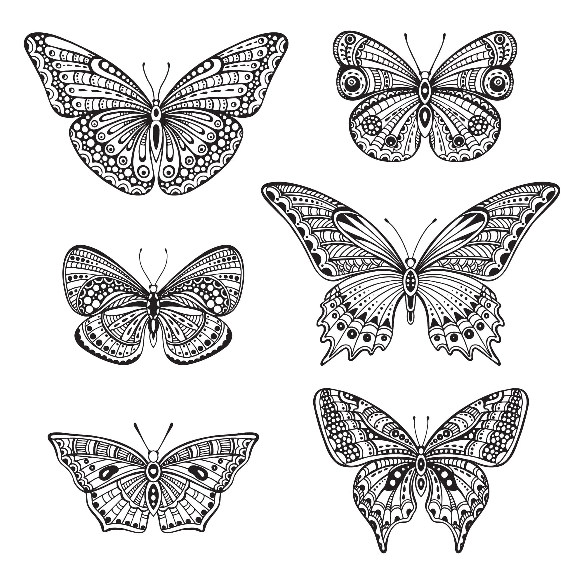 Ornate Butterfly Collection Vector Files for Laser Cutting