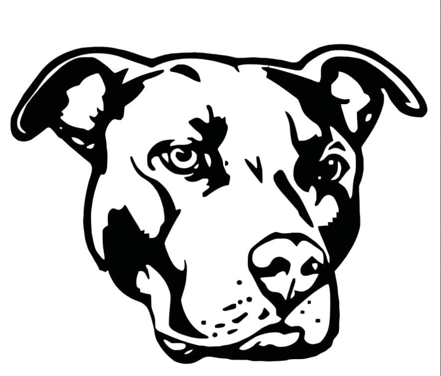 Pesel Animal Vector Design