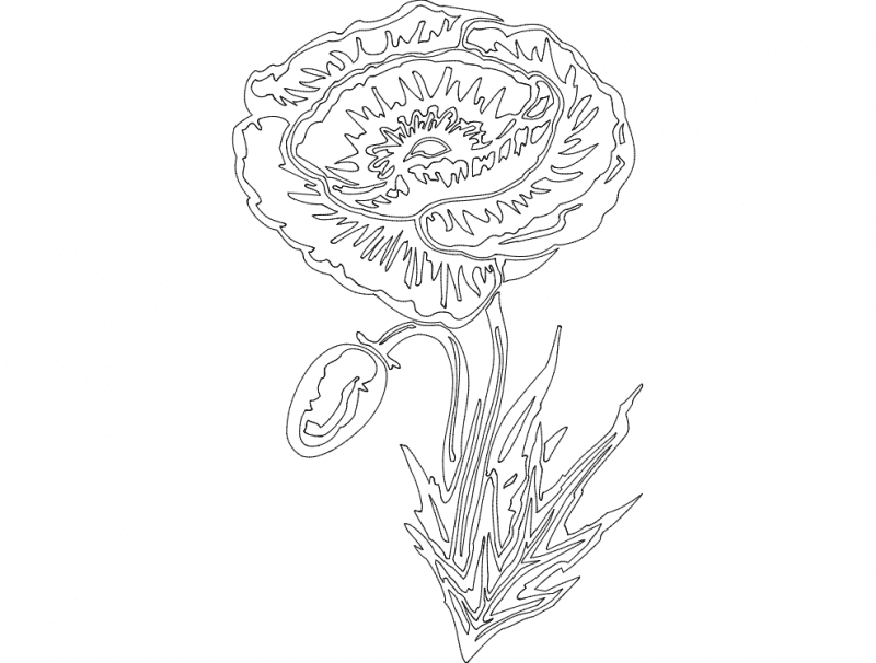 Poppy Flower Detailed Vector Design for Laser Cutting DXF