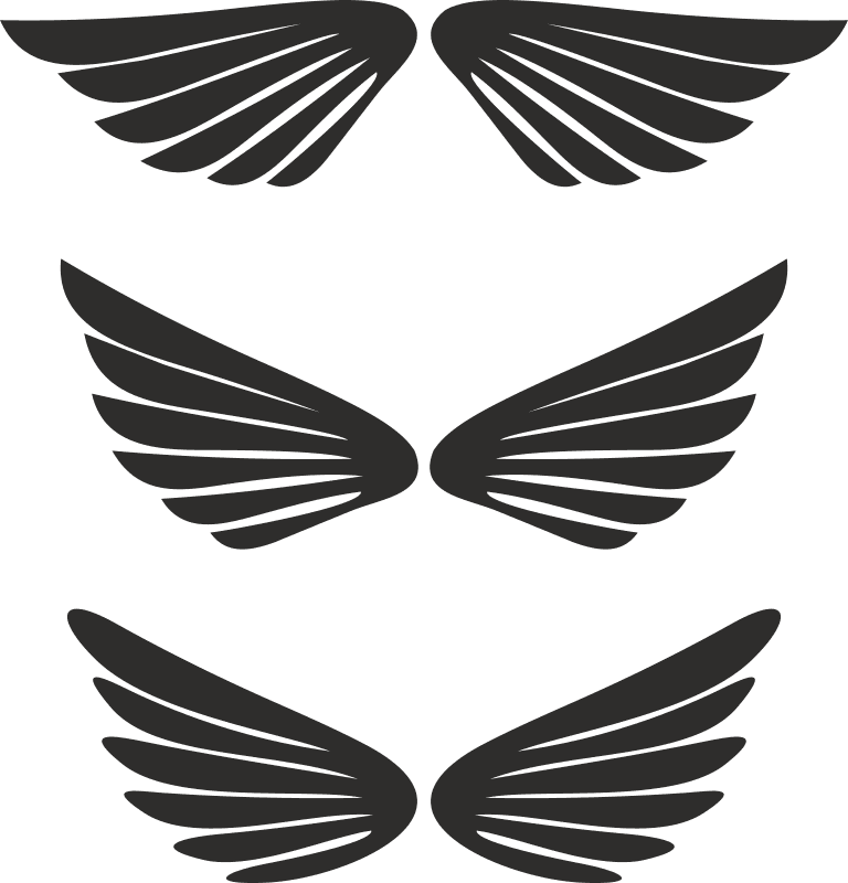Set of Stylized Angel Wings Vector Files for Laser Cutting
