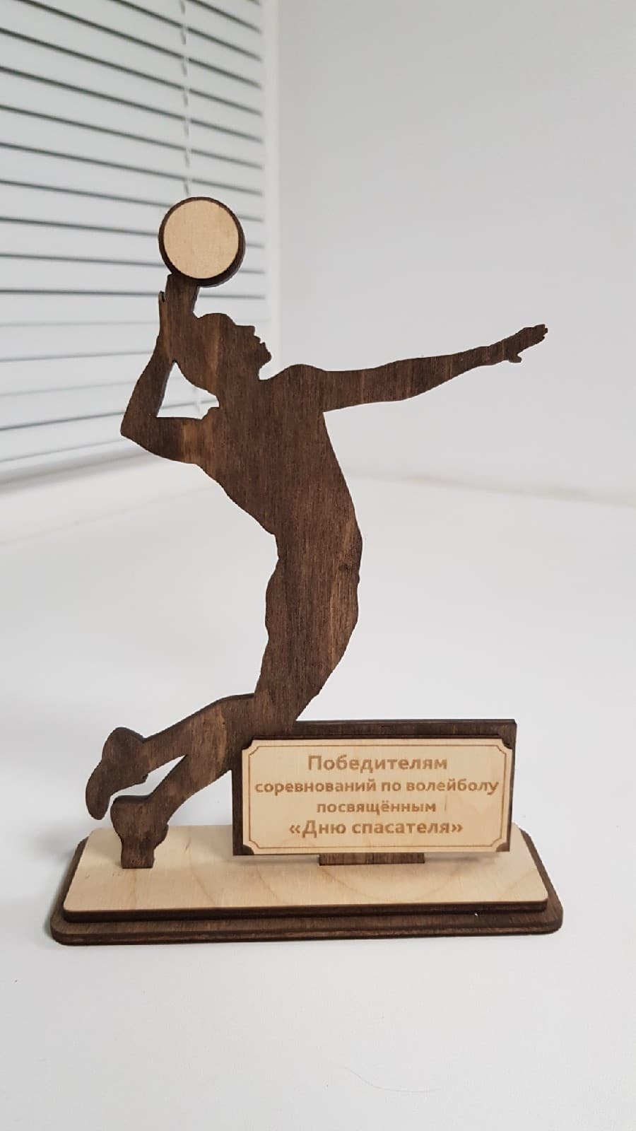 Volleyball Player Trophy Laser Cut Vector Design DXF CDR