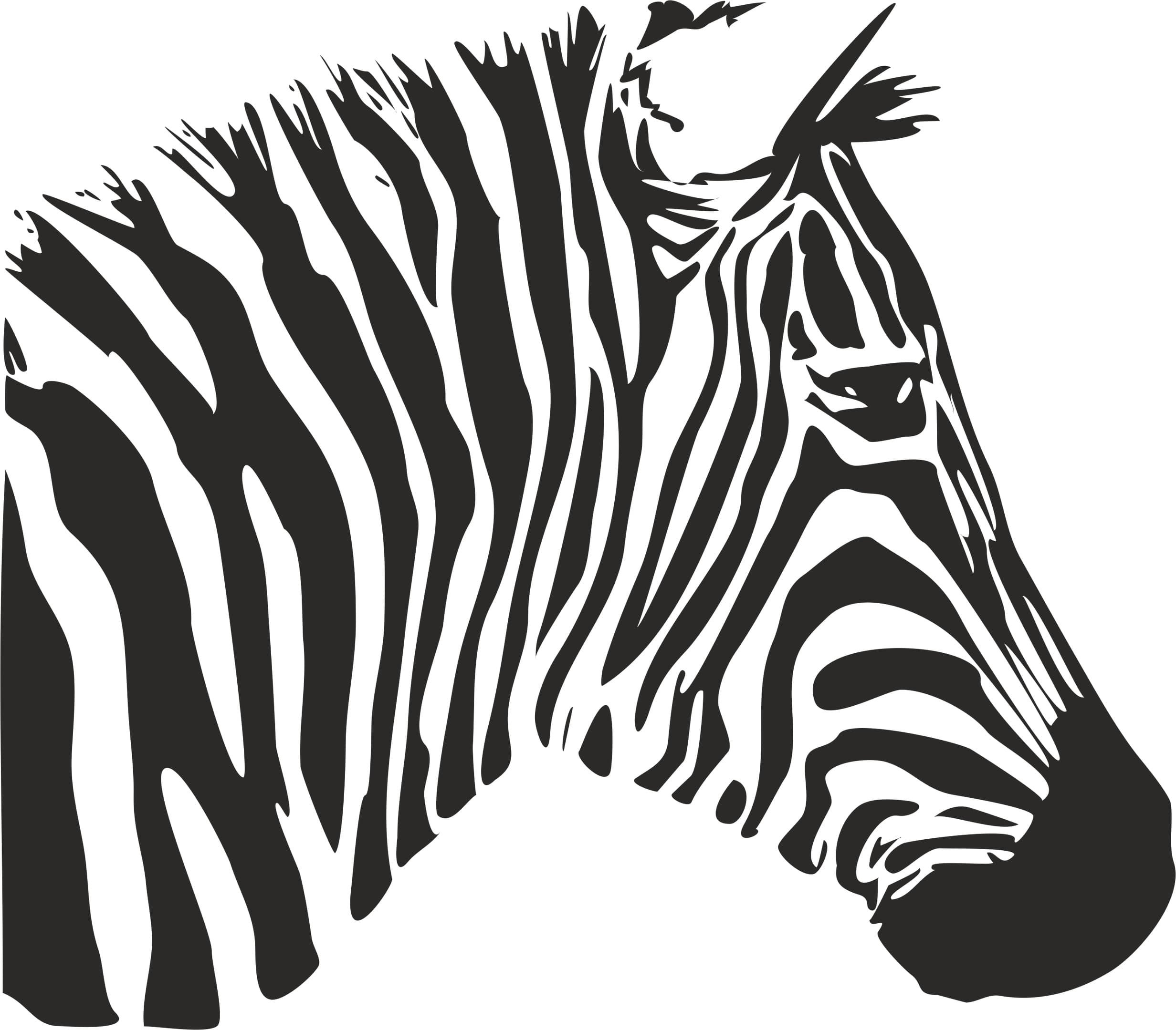 Zebra Head Silhouette Vector for Laser Cutting