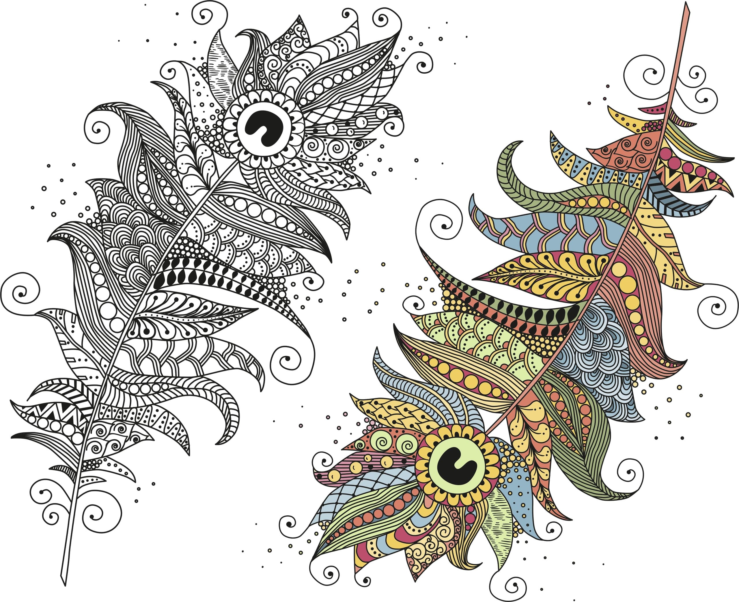 Zentangle Peacock Feather Vector Files for Laser Cutting